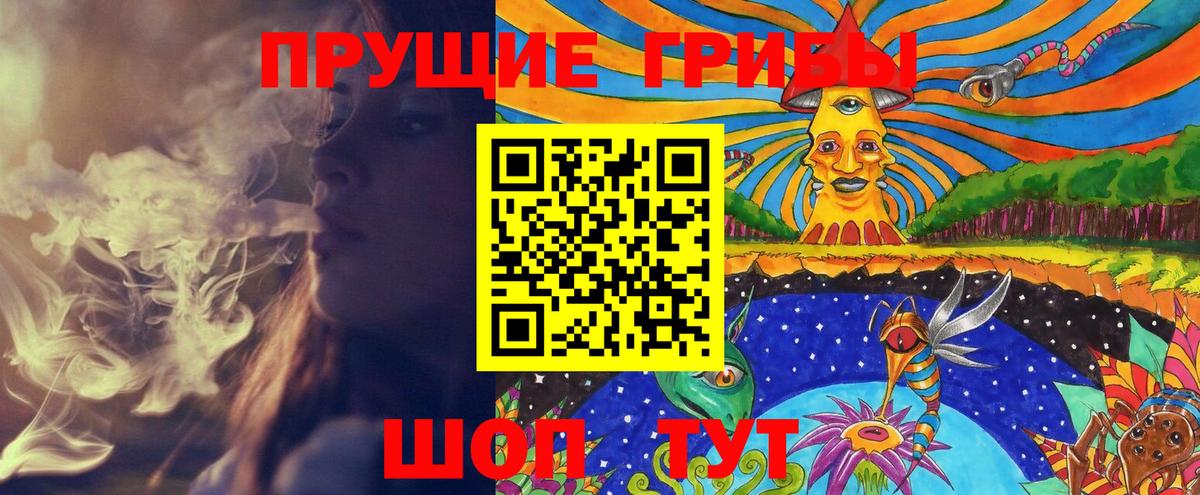 Галлюциногенные грибы Psilocybine cubensis  Вход с VPN  Лабинск  Псилоцибиновые грибы Cubensis 