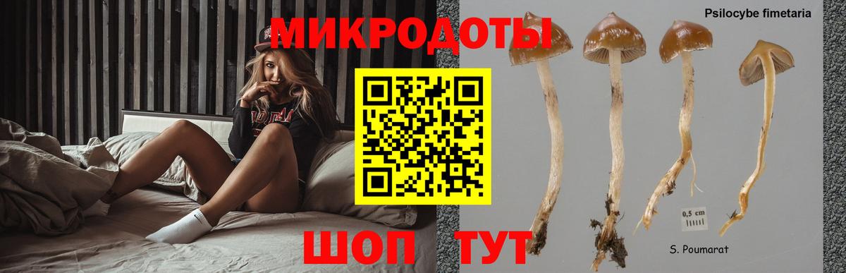 Галлюциногенные грибы Magic Shrooms Лабинск